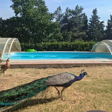 Casa Dei Pavoni Nocleg ze śniadaniem 3*