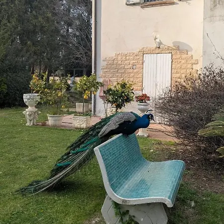Nocleg ze śniadaniem Casa Dei Pavoni 3*